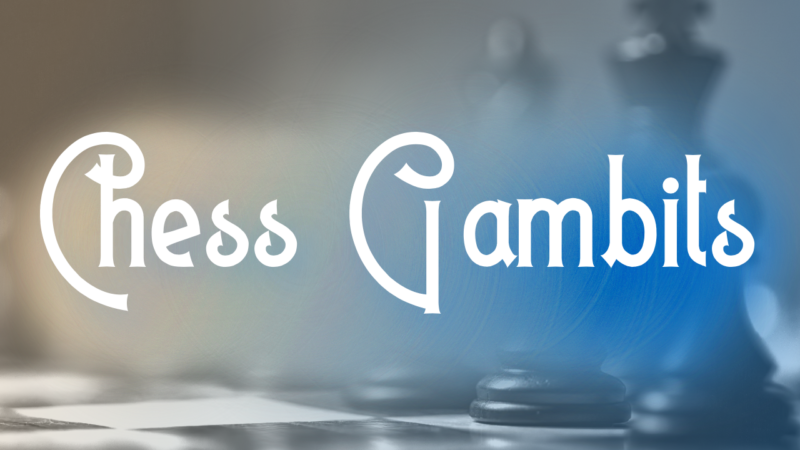 Chess Gambit: Stafford Gambit