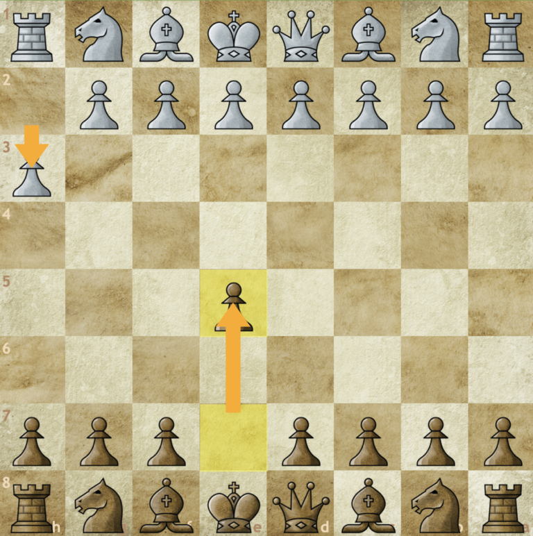 Chess 101 - The Catholic Newsboy